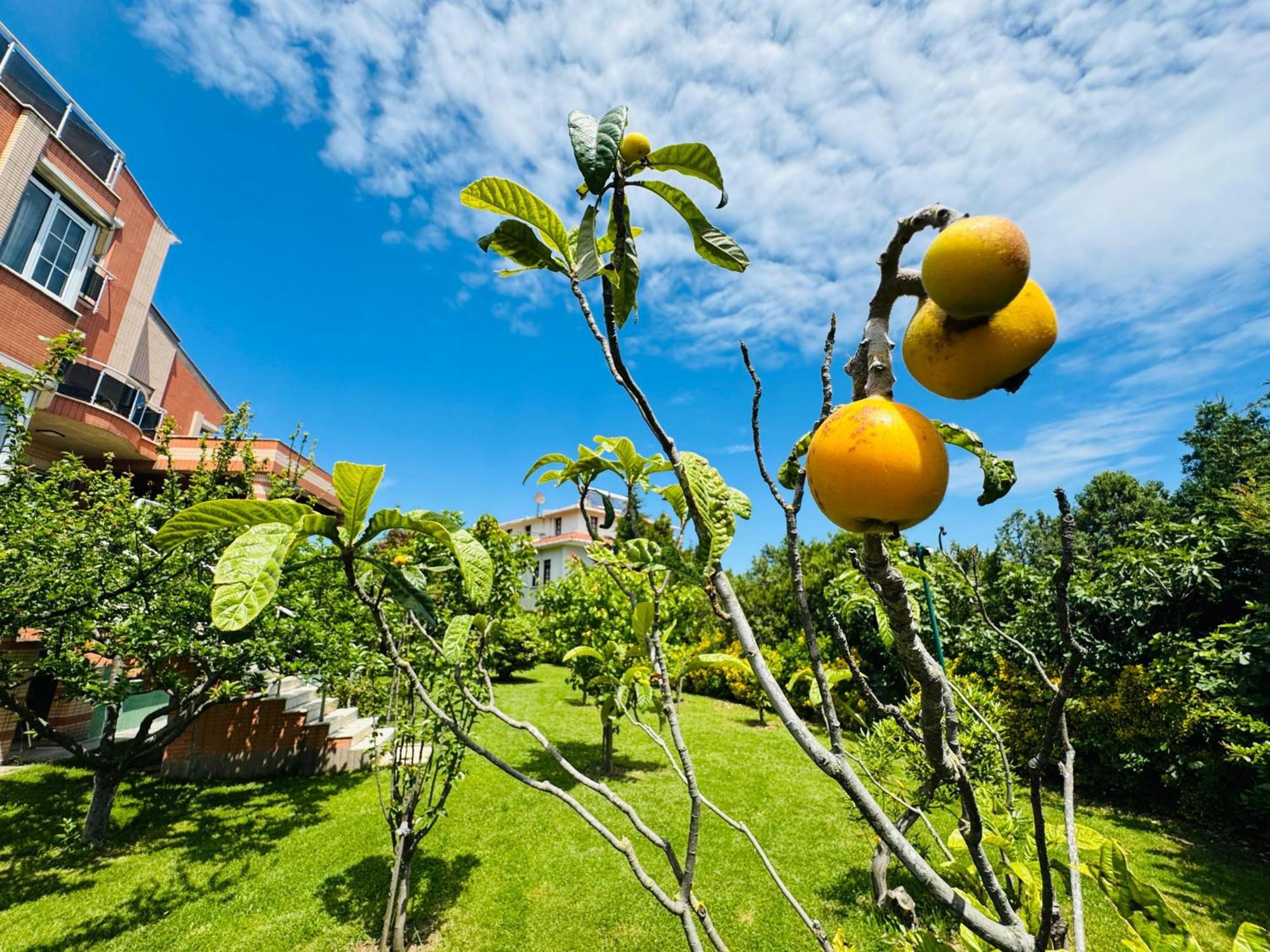 Treekos Suite Hotel Arnavutkoy Exterior foto