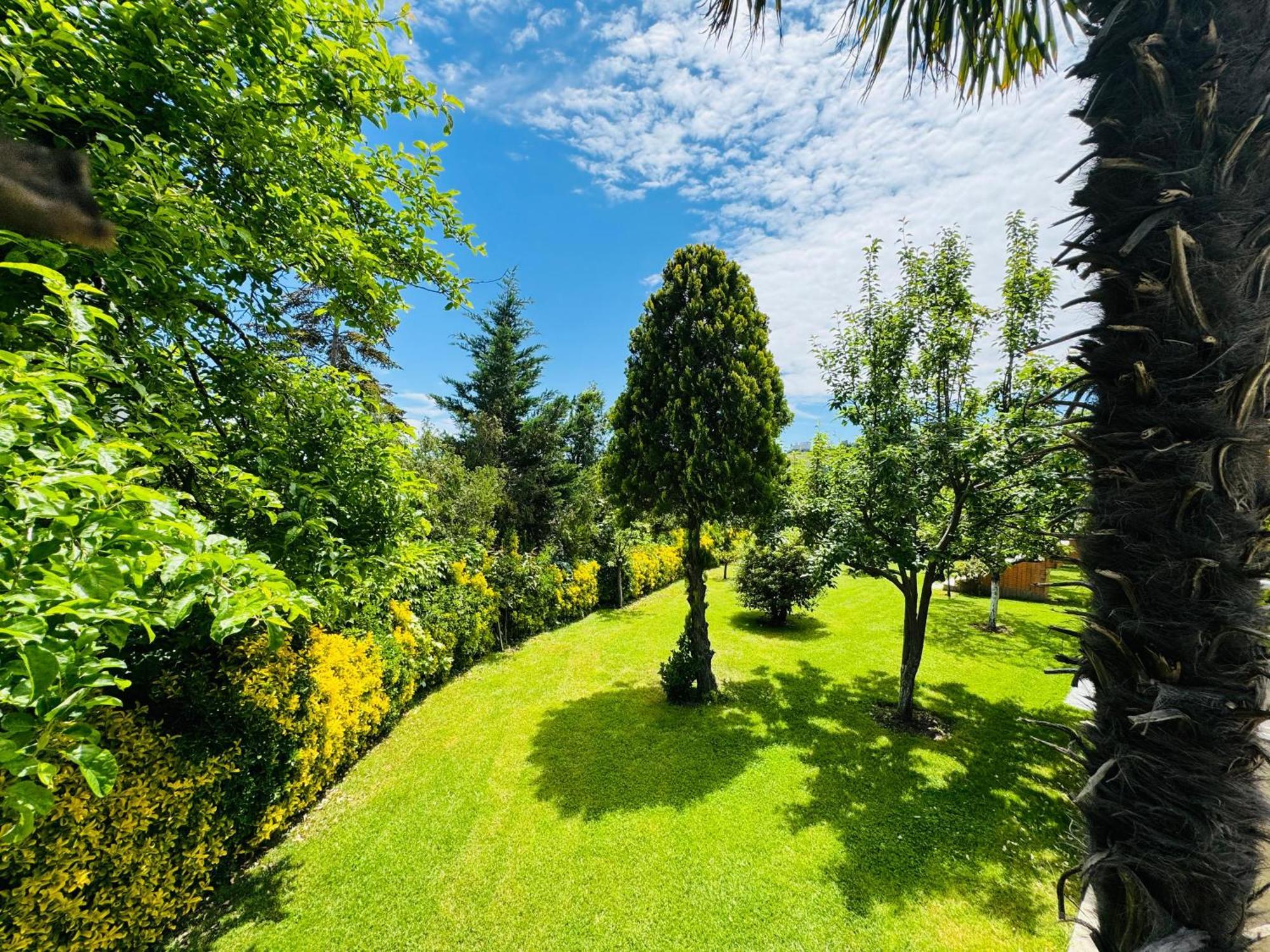 Treekos Suite Hotel Arnavutkoy Exterior foto